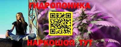 СК Тулун
