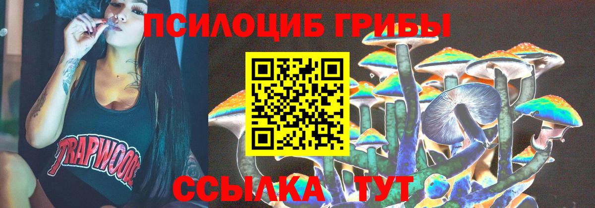 Лыткарино  Псилоцибиновые грибы GOLDEN TEACHER  Вход с VPN 