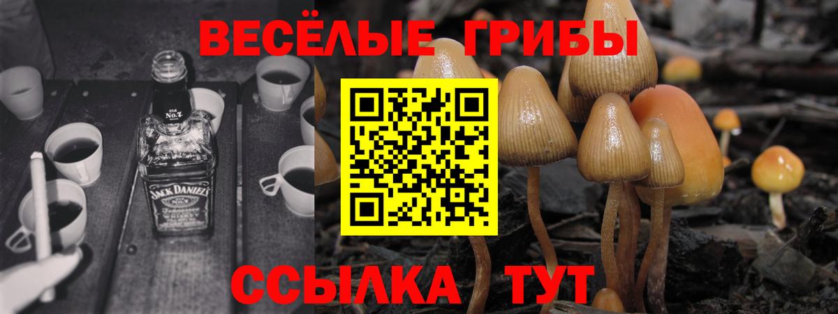 Галлюциногенные грибы прущие грибы Лыткарино
