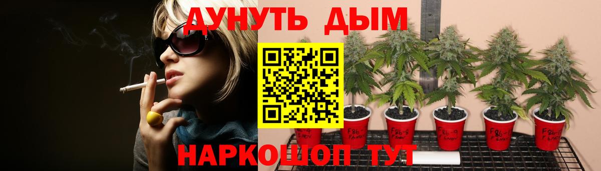 Шишки марихуана Amnesia Лыткарино
